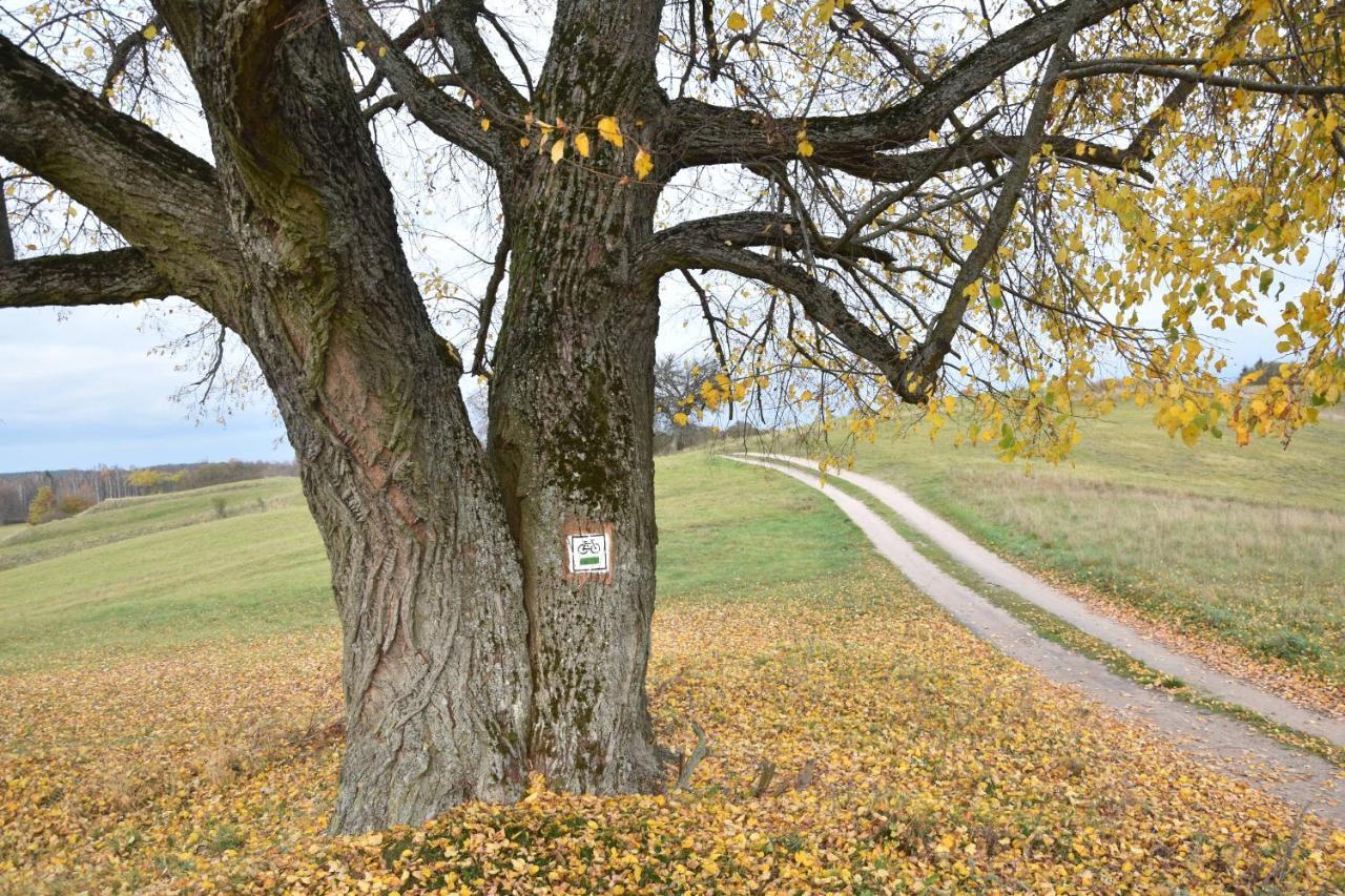 Wigierski Park Narodowy Suwałki Extérieur photo